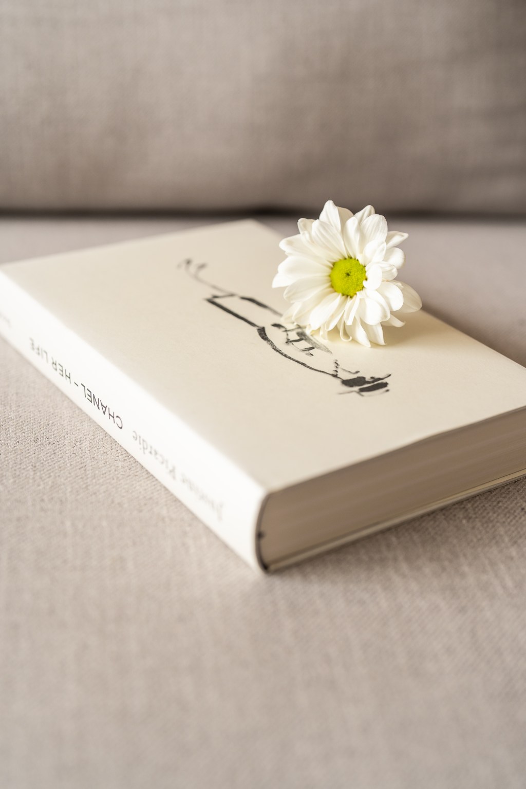 ¿Cómo se inicia una estrategia de redes sociales?